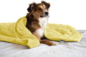 Pawfect Blanket 628011888020 Nappy Puppy - Weighted Dog Specially Designed For Anxious Dogs Ex