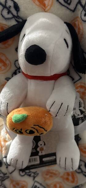 Peanuts 840038347391 Pet Blanket 40x30in And Toy With Squeaker. Snuggle Play All Day Cute Cozy