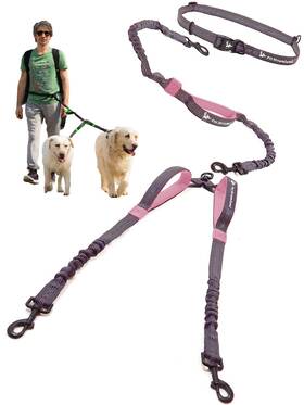 B07n1748wf Pet Dreamland Exquisite Hands Free Dual Dog Leash For Large Dogs. Trending Waist