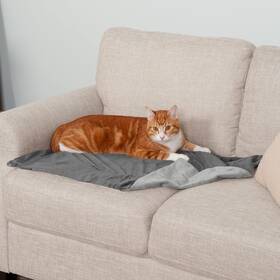 53249497 Pet Products Inc. Luxe Velvet Waterproof Blanket For Dogs And Cats - Granite Gray Small