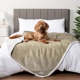 Pet-b5005wpq-tp Petami Waterproof Dog Blanket For Queen Bed Large Xl Throw Couch Cove