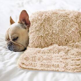 Petbuy 427282575546 Pet Dog Bed Blankets Fluffy Fleece Throw Sleep Mat Soft Puppy B