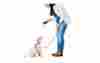 Petcommand-r Unbranded Pet Ultrasonic Sound Dog Training System Barking Control Trainer W Flashlight