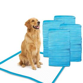 4334812359 Petfamily Super-absorbent 24 By Inches Dog Training Pads - 100 Count Of
