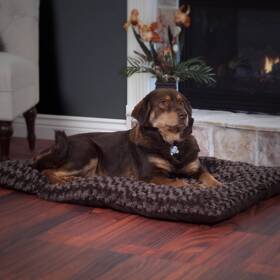 80-29435 Petmaker Pet Bed - Chocolate Large
