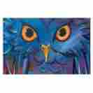Pm2001afm01 Inhouse Padgett Mason Hoot Decorative Doormat 24 X 36in Home Kitchen Features 784682792735