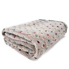 Pp00662aa Pawz Road Pet Dog