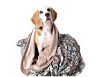 Pp00663aa Utex Premium Microfiber Pet