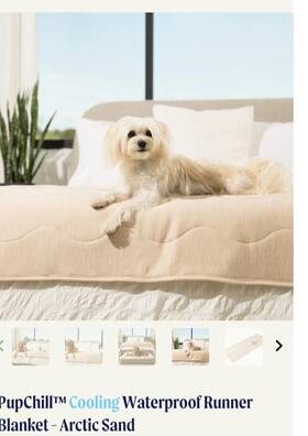 Tad2006 Pupprotector Tad2005 Paw Brand Pupchill Cooling Runner Throw For Dogs Beige Queen Size Arctic