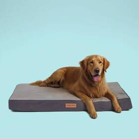Puppy Paw 840199205462 Orthopedic Memory Foam Dog Bed For Extra Large Dogs Waterproof Lining And No