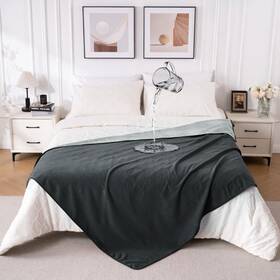 Qiyi 977650774015 Waterproof Blanket For Bed Queen Size Reversible Washable Pet-friendly
