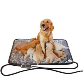 P-5386 Quasilove Puppy Heating Pad For Whelping New Born Dog Heated Bed Puppies Pet