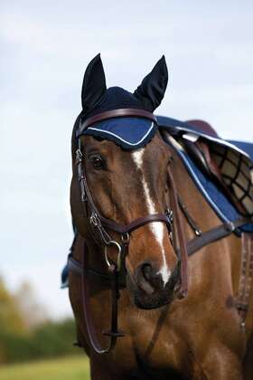 Deac3g-bmdb-ch Rambo Grand Prix Ear Net Cob Horse Navy/beige/baby Blue