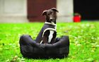 Rbaa50-n000-la Horseware Ireland Rambo Dog 649982704843