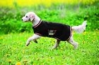 Rra040-kmsk-me Horseware Ireland Rambo Grand 649982631286