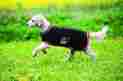 Rra040-kmsk-ys Rambo Waterproof Fleece Dog Blanket Black Tan Orange Xxsmall 649982631330
