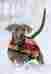 Rra072-vrkn-xl Rambo By Horseware Newmarket Dog Blanket 649982431084