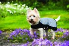 Rraa60-ki00-xl Horseware Ireland Rambo Sports 649982739180