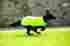 Rrad22-mixg-sm Rambo Dog Blanket Camouflage Small With Green 649982554257