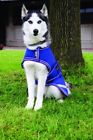 Rrr002-bmwv-ys Horseware Ireland Amigo Dog 649982615910