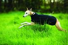 Rrrf53-k000-xs Horseware Ireland Amigo Fleece 649982720140