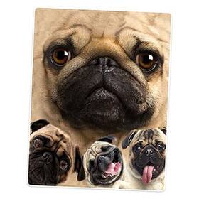 171112tcsl8121634069828 Sixue Chen Blankets Plush Sofa Bed Throw Blanket Funny Pug Dogs Pet Animal 60 Inch X80