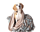 Ss17-utxp001s Utex Premium Microfiber Pet Blanket For Dogs Puppy 696575049379