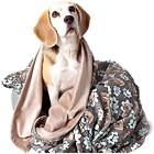 Ss17utxp001m Premium Bed Blankets Microfiber Pet Blanket For Dogs 613635712776