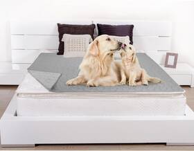 Stuffed 744110987546 Waterproof Dog Bed Cover Pet Blanket Washable Reusable Reversible Paw P
