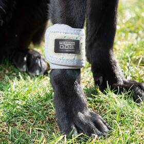 36900-50-29 Terrain D.o.g. Dog Cooling Band - Icing And Therapy For Pet Joints Machine