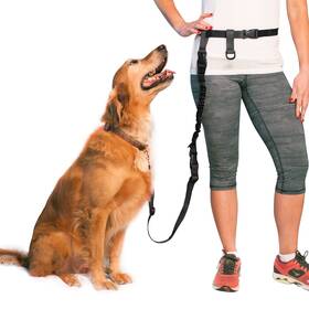 B000ograc6 The Buddy System Adjustable Hands-free Dog Leash For Running Jogging Training