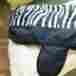 36-7717-600-103 Tough-1 600d Zebra Print Waterproof Dog Blanket Coat Black White Large