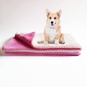 Trainpro 747726264513 24 X 32 Premium Fluffy Fleece Dog Puppy Or Kitty Blanket. Soft And Warm Pet