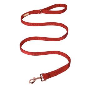 B095bx23gj Unique Style Paws Silk Dog Leash - Durable Comfortable For Small-large Dogs