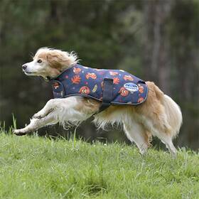 100034dc-10-1 Weatherbeeta Squirrel Print Dog Blanket