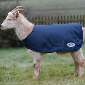 Weatherbeeta 6747574141046 Goat Coat