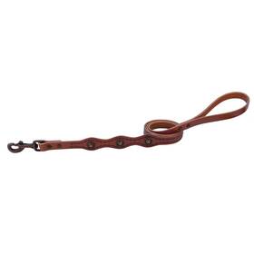 B004qnow2o Weaver Leather Pet Sundance Dog Leash - Heart Tooled Copper Conchos 3/4 Inch X4ft