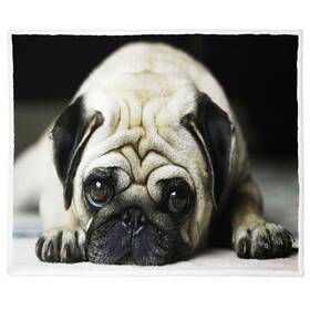 Xsmei 300828414696 Pug Sherpa Blanket Dog Print Fleece Throw Blankets For Couch Sofa Bed Super