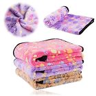 Y-b006-031 Innext Puppy Blanket Pet 885926278425