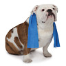 Za0261 01 19 Cool Pup Dog Cooling Pet Towel 691163209432