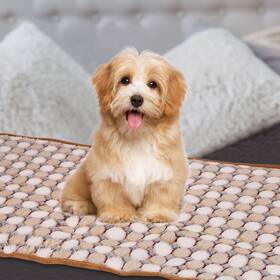 Zaplyte 676766903390 Pet Blanket Flannel Dot Printed Throw 21x30 Inches Coffee 3 Pack