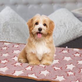 Blanket16x24 Zaplyte 676766903420 Pet Blanket Flannel Star Printed Throw Inches Red 3 Pack