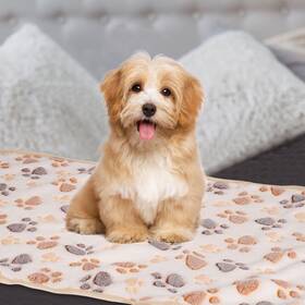 Zaplyte 676766903482 Pet Blanket Flannel Paw Printed Throw 21x30 Inches White 3 Pack