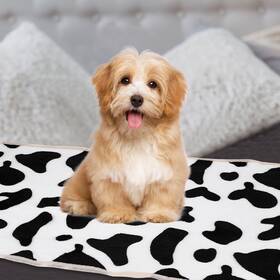 Zaplyte 676766903499 Pet Blanket Flannel Cow Printed Throw 30x42 Inches 3 Pack