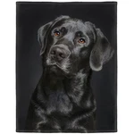 Hommomh Black Blanket, Gorgeous Labrador Dog Print, Soft 50" X 60",. Fixed Price $42.01.