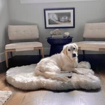 Puprug By Paw.com Faux Fur Orthopedic Dog Bed - Curve White With Brown Accents. Fixed Price $240.99.