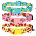 Azuza 3 Pack Fruit Design Dog Collars Comfortable And Adjustable Nylon Co.... Fixed Price $27.69.
