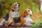 New Fleece Throw Gift Blanket Breed Beagles Hound Dog Puppy Soft Puppies. Fixed Price $20.43.