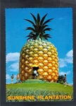 C6995 Australia Q Nambour Big Pineapple Postcard. Fixed Price $7.66.