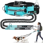 Waist Leash For 2 Dogs Small, Medium, Large Shock-absorbing, Hands-free. Fixed Price $42.03.